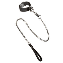 Load image into Gallery viewer, Euphoria Collection Collar With Chain Leash