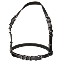 Load image into Gallery viewer, Euphoria Collection Halter Buckle Harness