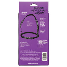 Load image into Gallery viewer, Euphoria Collection Plus Size Halter Buckle Harness