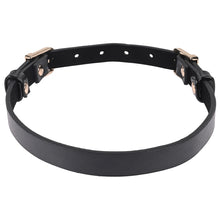 Load image into Gallery viewer, S&M Double Buckle Day Collar