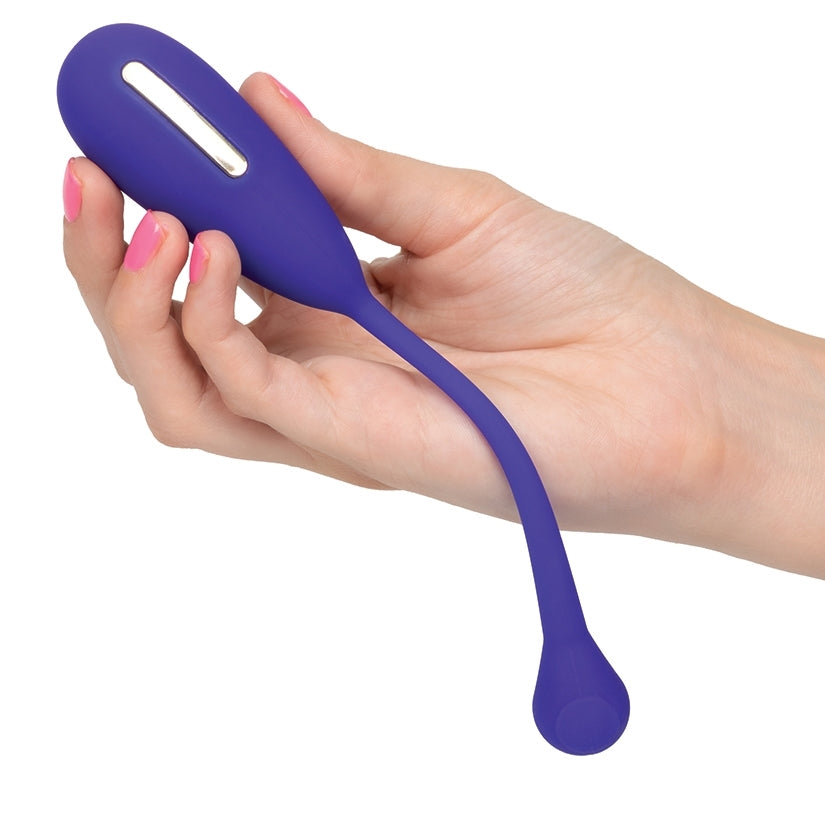 Impulse Intimate E Stimulator Remote Kegel Exerciser Purple