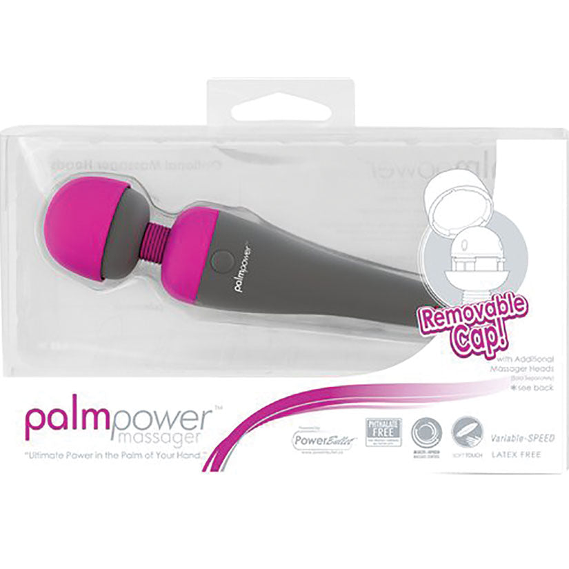 PalmPower Massager 30528