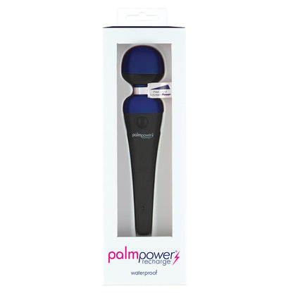 PalmPower Rechargeable Massager-Blue 30614