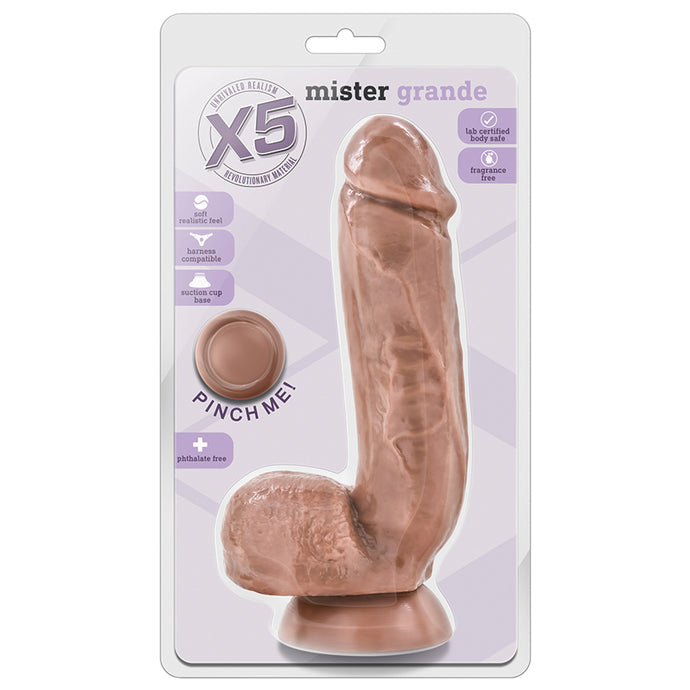 X5 Mister Grande-Latin 8.75