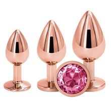 Load image into Gallery viewer, Rear Assets Trainer Kit-Rose Gold