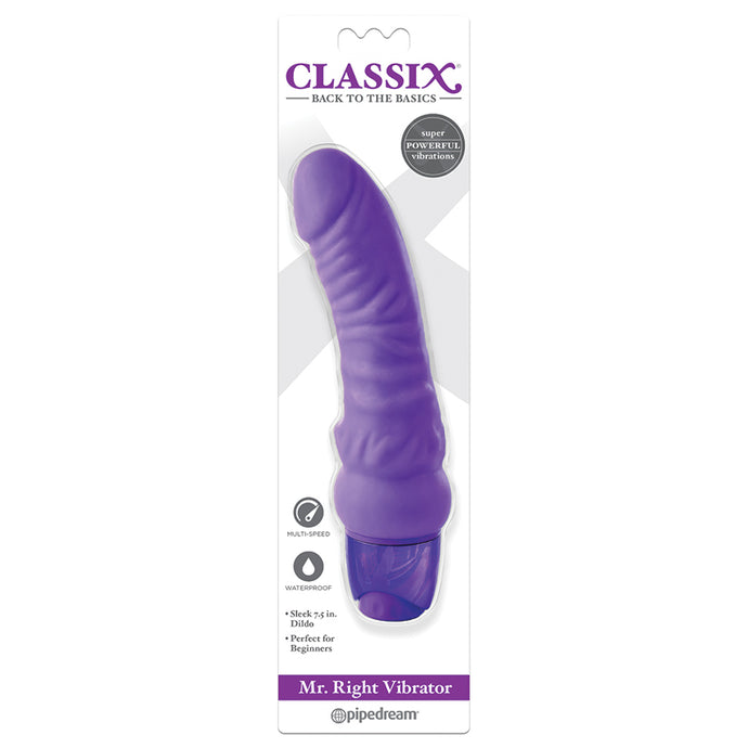 Classix Mr Right Vibrator-Purple PD1981-12