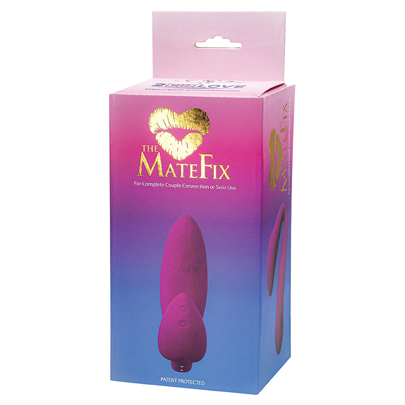MateFix MATE01