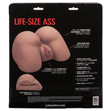 Load image into Gallery viewer, Stroke It Life Size Ass-Brown