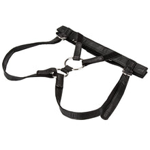 Load image into Gallery viewer, Her Royal Harness The Duchess (boxed)