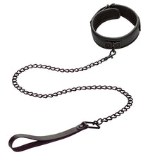 Load image into Gallery viewer, Nocturnal Collection  Collar &amp; Leash