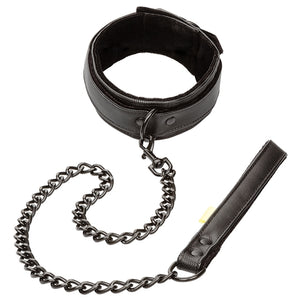 Boundless Collar & Leash