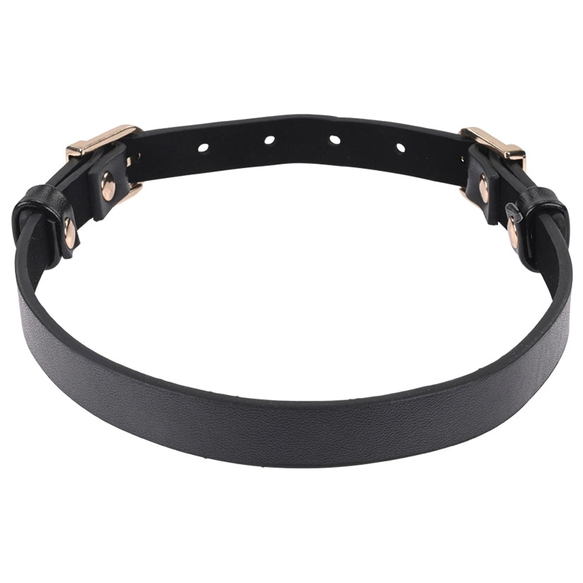 S&M Double Buckle Day Collar