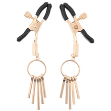 Load image into Gallery viewer, S&amp;M Verge Nipple Clamps