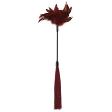 Load image into Gallery viewer, S&amp;M Enchanted Feather Tickler