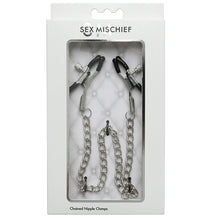 Load image into Gallery viewer, S&amp;M Chained Nipple Clamps SS10089