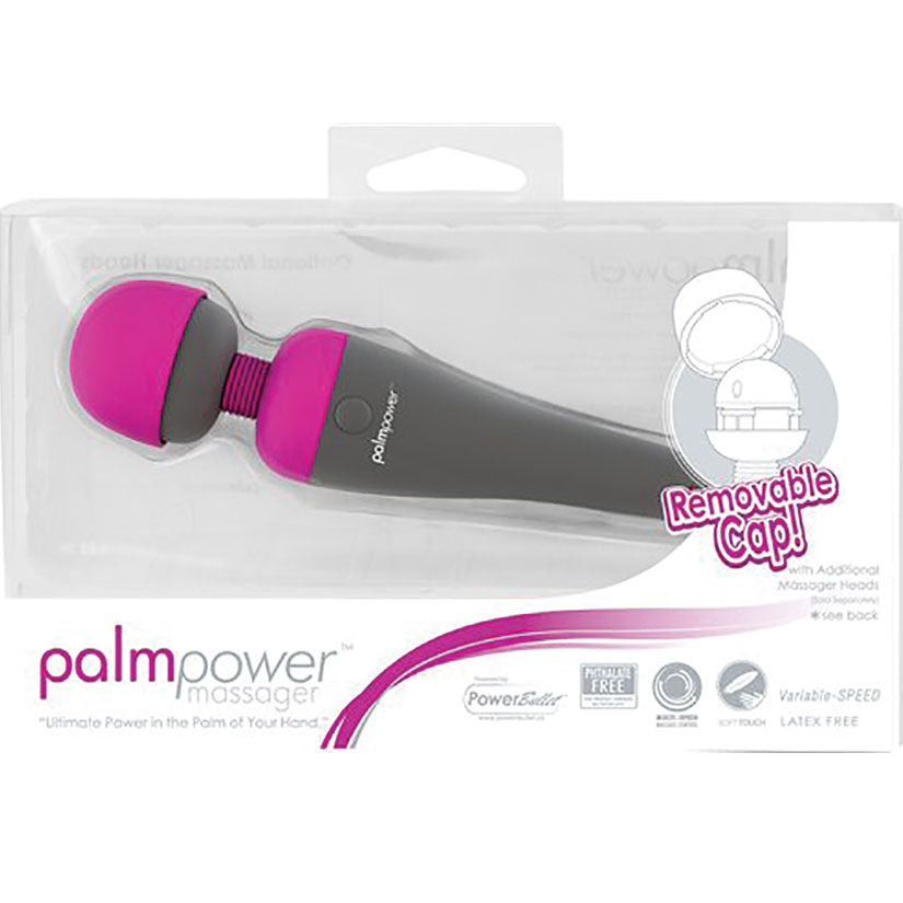 PalmPower Massager BMS30528