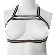 Load image into Gallery viewer, Gender Fluid Silver Lining Harness-Rainbow Glitter L-XXL GFH502